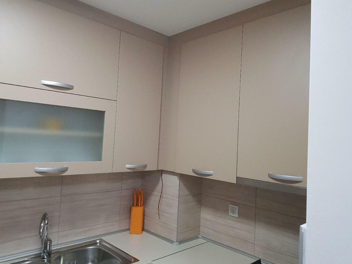 Apartman Kristina,Istocno Sarajevo,Vojvode Radomira Putnika 49D Екстер'єр фото